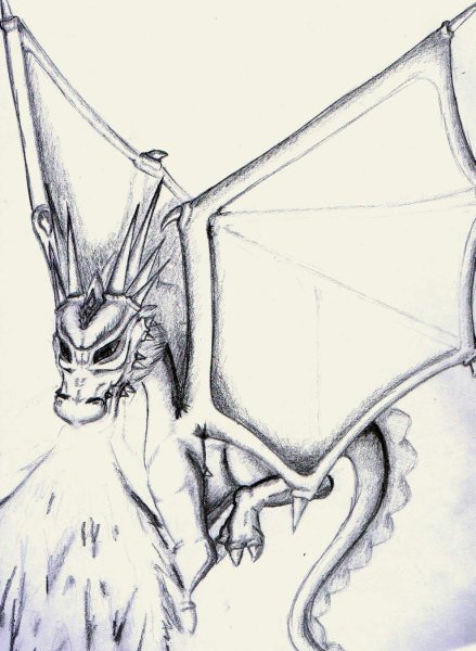Un dragon comme vous pouvez le constater :o)